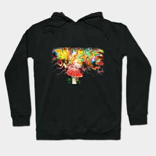 Mystic Toadstool, magic mushroom Hoodie